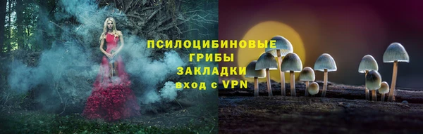 тгк Алзамай
