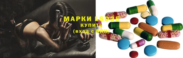 тгк Алзамай