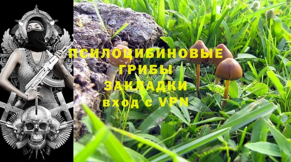круглые Алексеевка
