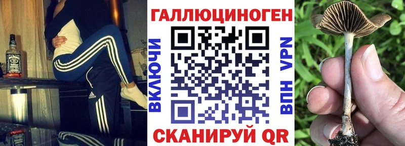 Псилоцибиновые грибы прущие грибы  дарнет шоп  Суджа 